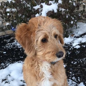 Meet your Posher, Jack